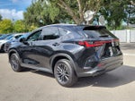 2024 Lexus NX 250 Premium