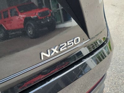 2024 Lexus NX 250 Premium