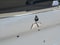 2016 Mitsubishi Outlander SEL