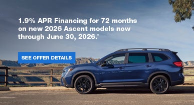 Ascent | Subaru of Naples in Naples FL