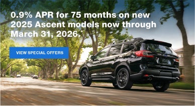 Ascent | Subaru of Naples in Naples FL