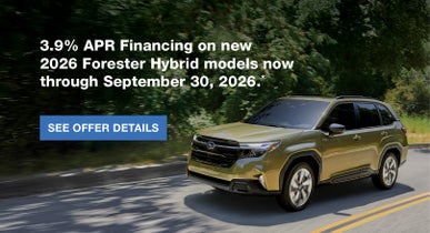  Forester Hybrid | Subaru of Naples in Naples FL