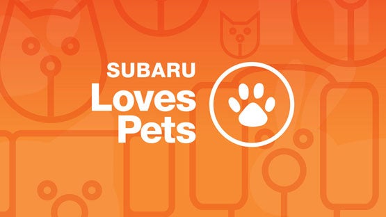 Subaru of Naples in Naples FL