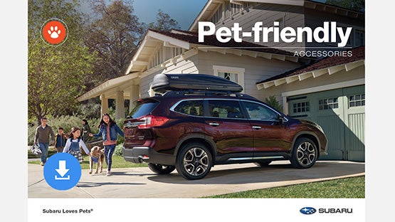 Subaru of Naples in Naples FL
