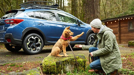 Subaru of Naples in Naples FL