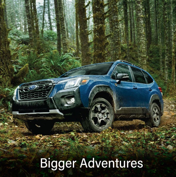 A blue Subaru outback wilderness with the words &ldquo;Bigger Adventures&ldquo;. | Subaru of Naples in Naples FL