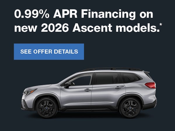 Dark Blue Background and Silver Ascent