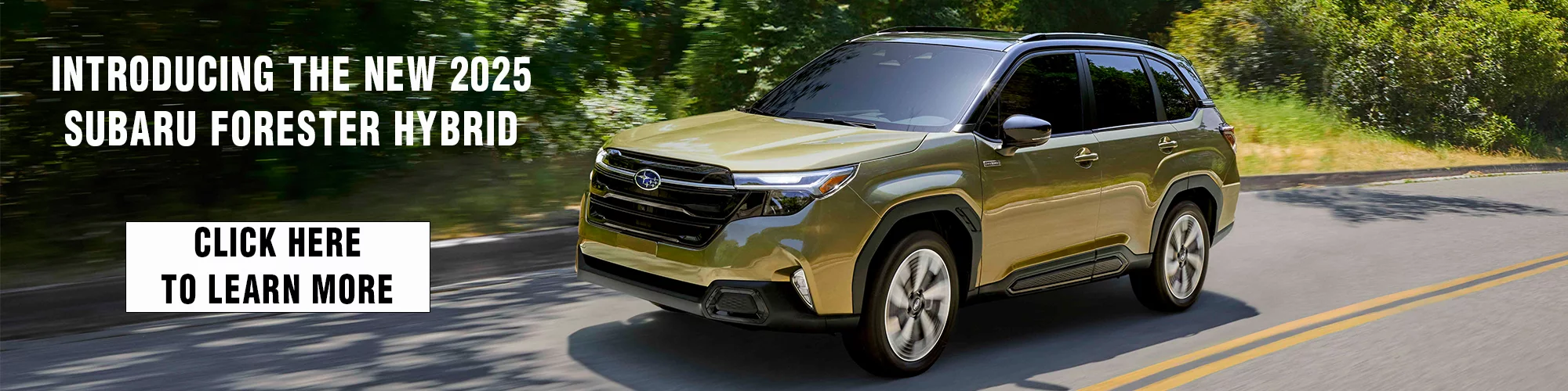 2026 Subaru Forester Hybrid in Naples 