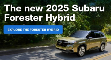 ForesterHybrid