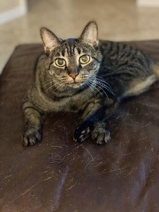 In loving memory of Allie Reed